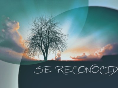 Se Reconocido 